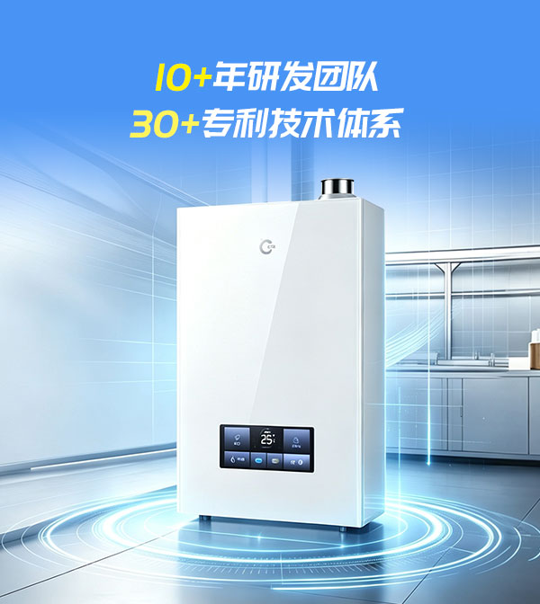 研发团队与专利技术体系