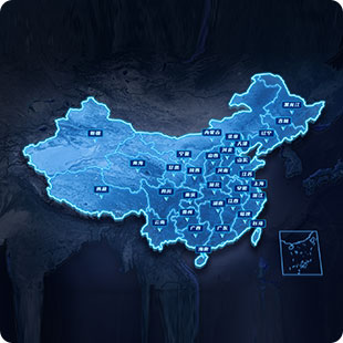 2019 年国内服务版图