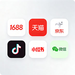 2026 年线上渠道平台